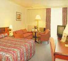  Holiday Inn Airport Hotel 4*|  , , .